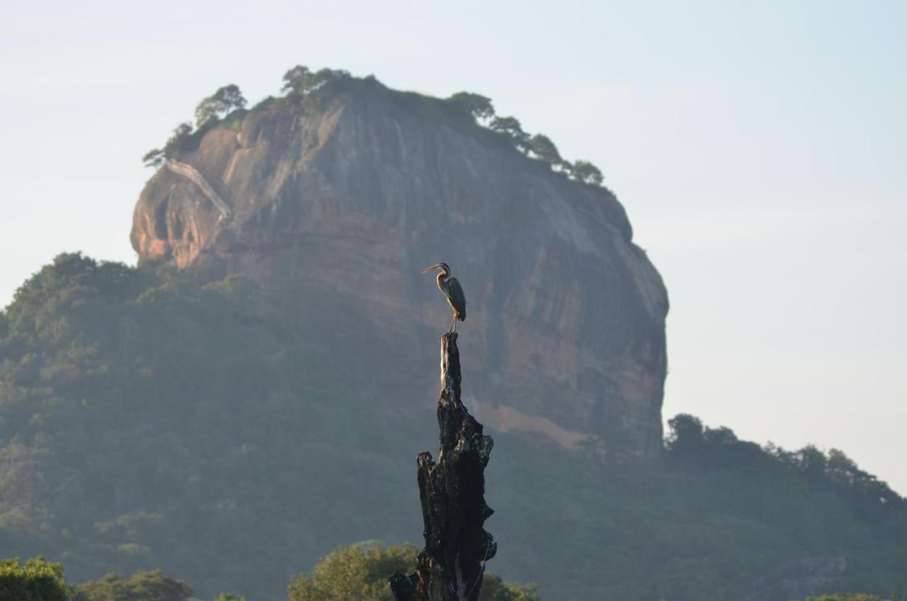 Sigiriya King'S Resort Eksteriør billede