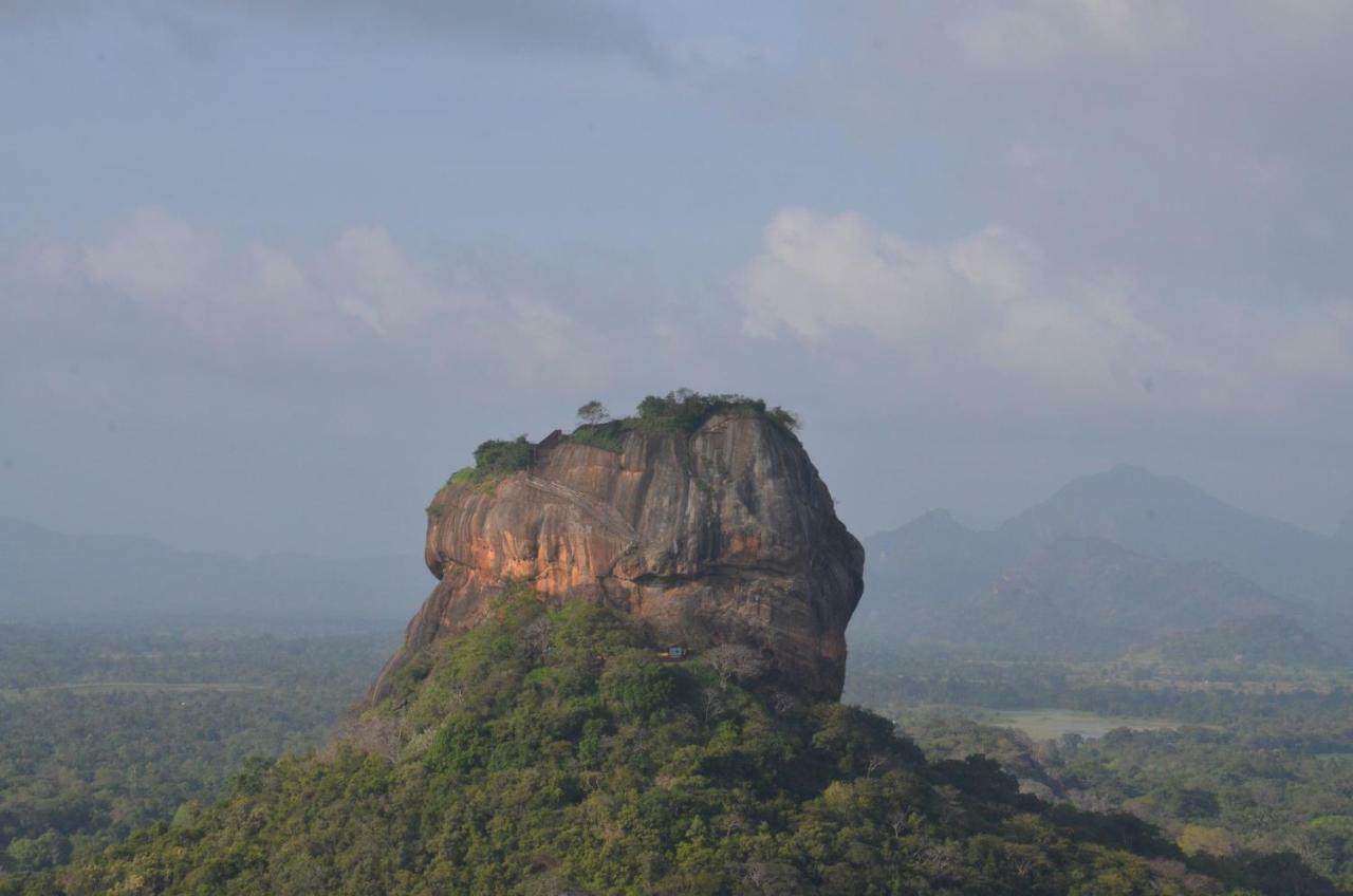 Sigiriya King'S Resort Eksteriør billede