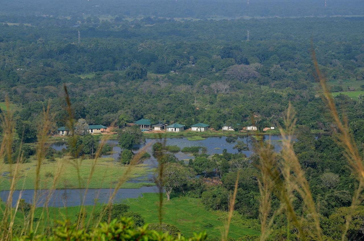 Sigiriya King'S Resort Eksteriør billede