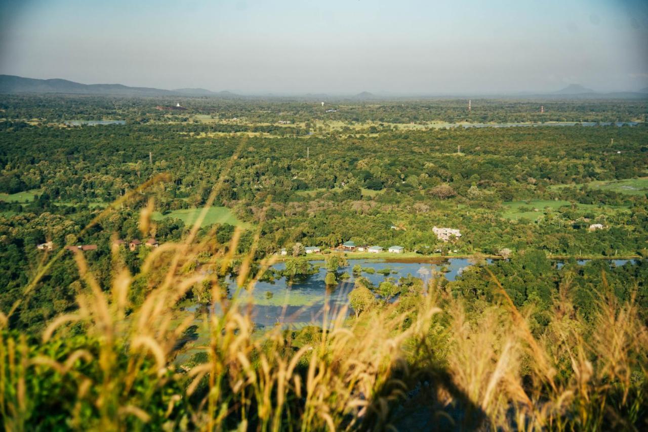 Sigiriya King'S Resort Eksteriør billede